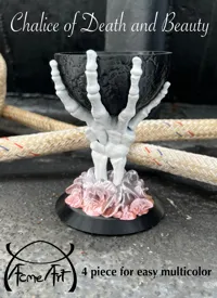 Calice tête de mort et rose — photo 2
