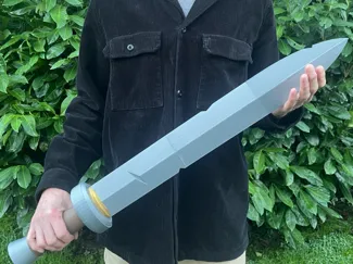 Traveler’s sword the legend of Zelda TOTK & BOTW