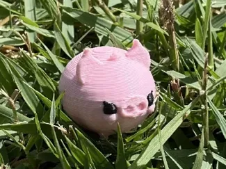 Cute Little Piggy