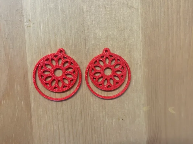 Earrings