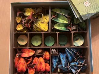 Photosynthesis Boardgame insert