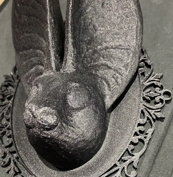 Cadre gothique tête de chauve-souris