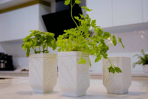 https://makerworld.bblmw.com/makerworld/model/USc9677dea21be7d/design/2023-12-29_77a0f7accdb0f.gif
