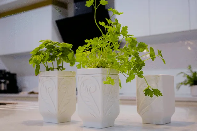 Self-watering Herb Planter for the kitchen