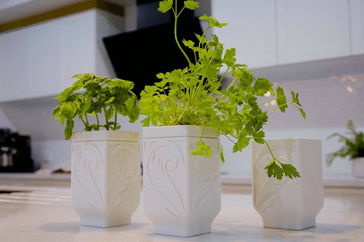 Self-watering Herb Planter for the kitchen