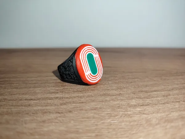 https://makerworld.bblmw.com/makerworld/model/USc967cf2ea7f8d2/design/2025-02-06_7bf4a511024c6.jpg