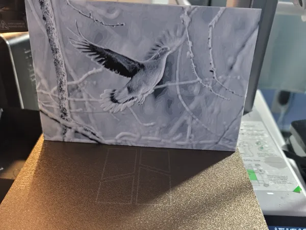 https://makerworld.bblmw.com/makerworld/model/USc9691b25f0a9ac/design/2024-07-11_ed849a2d01133.jpg