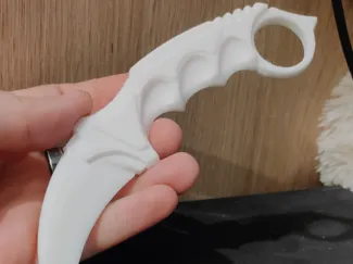 Karambit Knife
