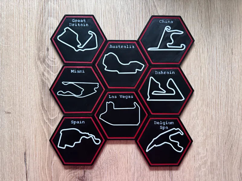 F1 - tracks coaster