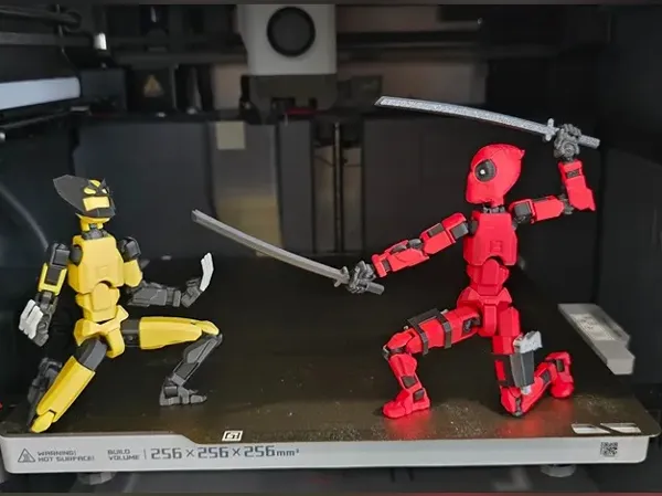 https://makerworld.bblmw.com/makerworld/model/USc97afcae34e050/design/2025-01-17_5ef6bf77bc679.jpeg