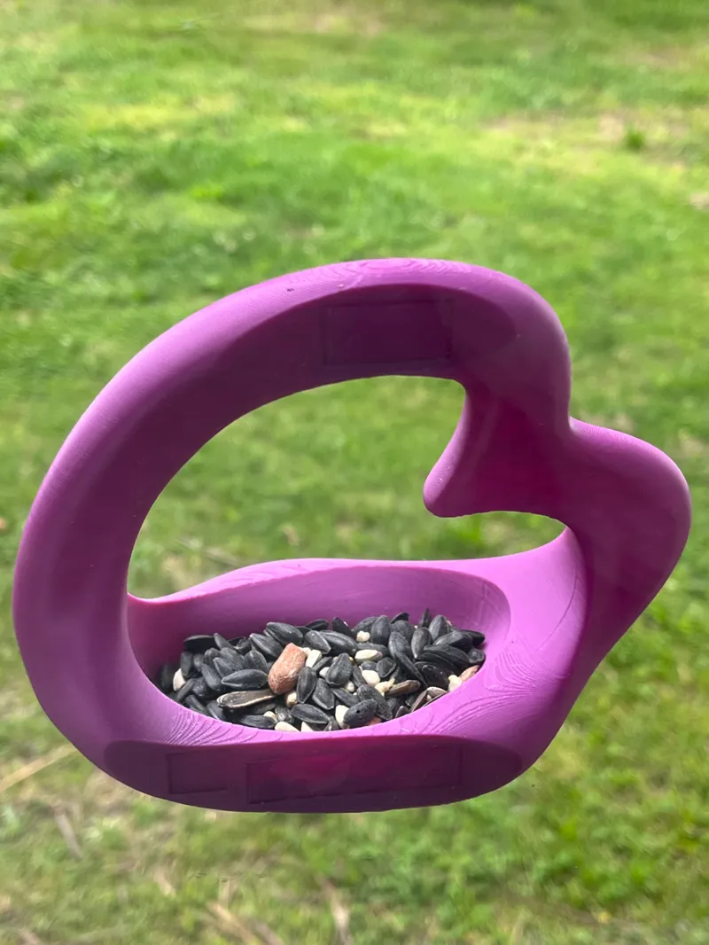Heart Shaped Window Bird Feeder