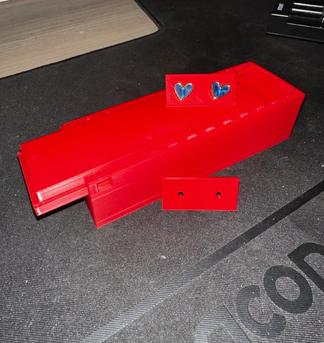 Earring Box organiser