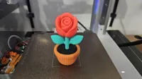 NO AMS - print pauses - 0.12mm layer, 2 walls, 10% infill