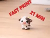 0.2mm layer, 2 walls, 15% infill