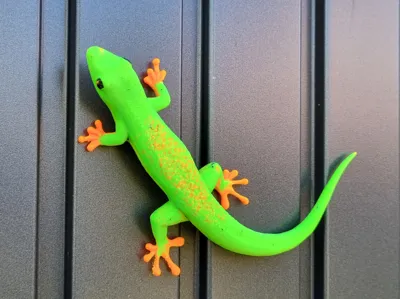 Gecko
