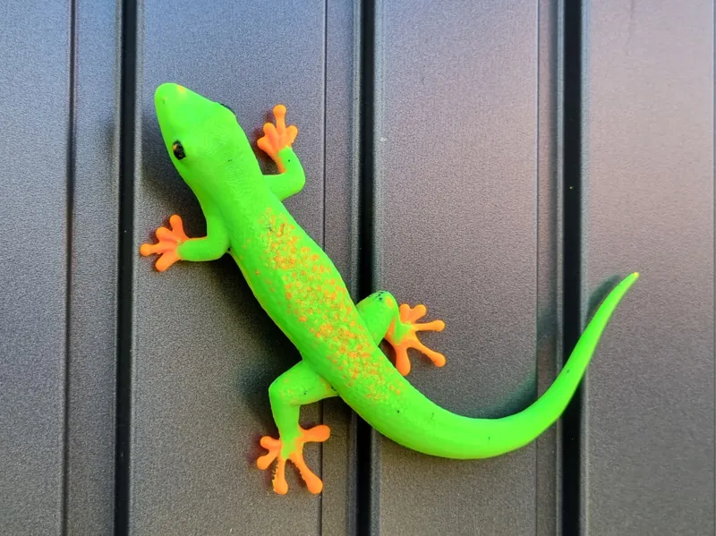 Gecko