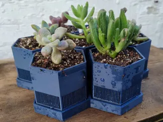 Hexagonal Succulent Planter with Drip Tray