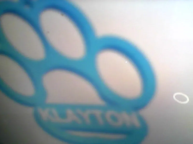 PAW PRINT WITH NAME