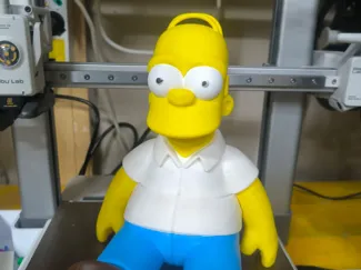 homer simpson Multipezzo  24 cm