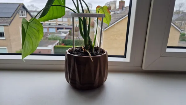 Tuteur cage pour plante