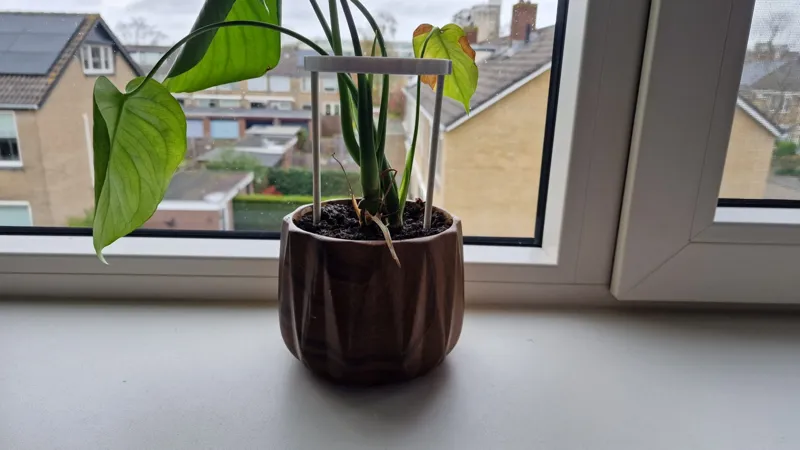 plant support stand/cage 