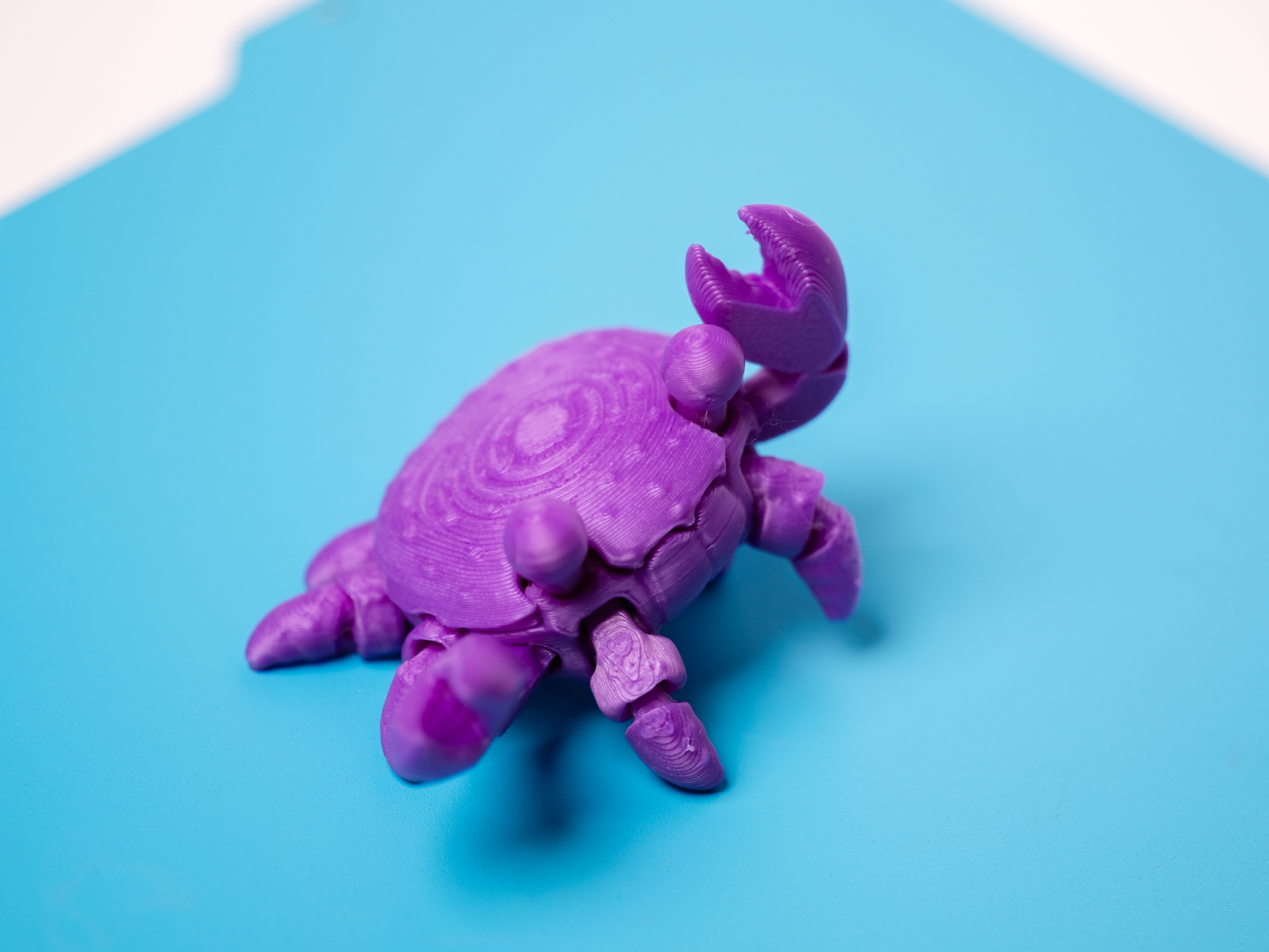Flexi Crabs - 1