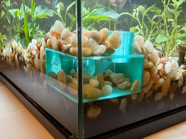 https://makerworld.bblmw.com/makerworld/model/USc98e3620dbb2ec/design/2026-01-03_88a9bfb8f9cea.jpeg