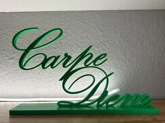 Carpe Diem -  Schriftzug  