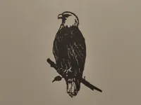 Aigle en décoration murale — photo 2