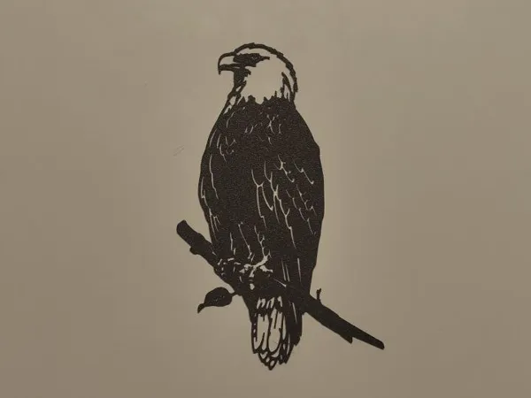 Aigle en décoration murale