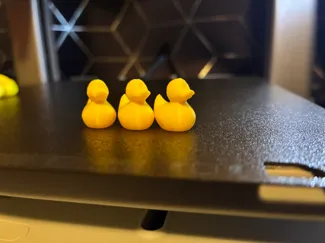 Many Ducks
