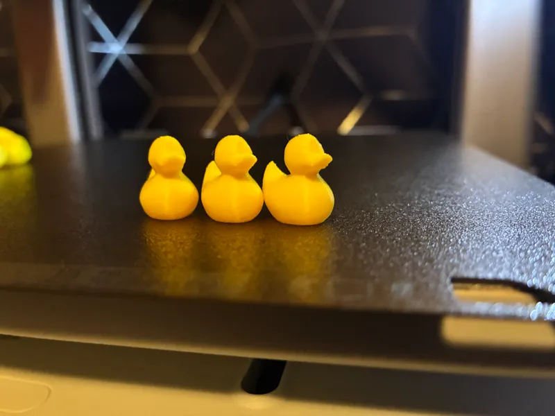 Many Ducks