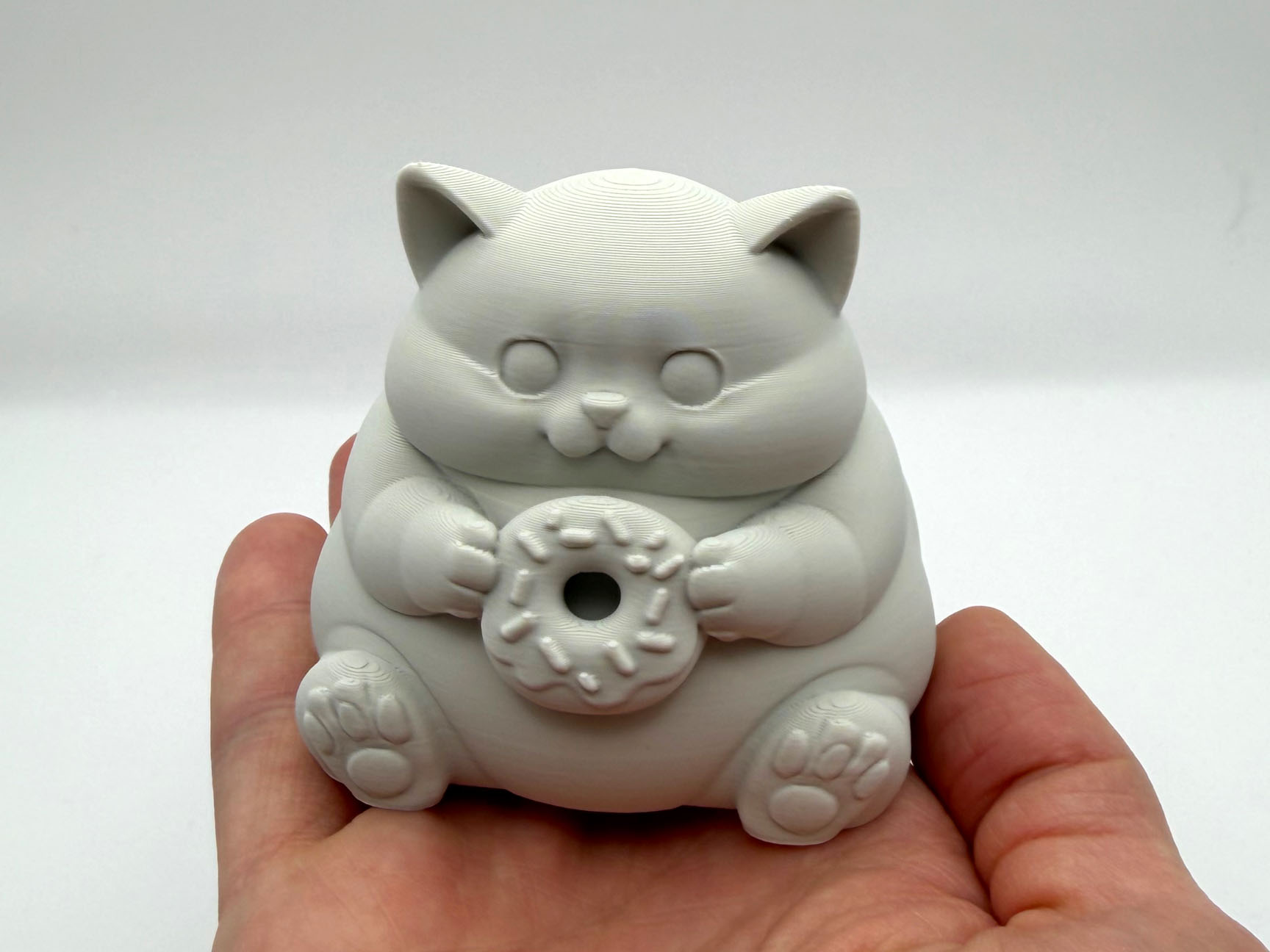 Chonky Donut Kitten