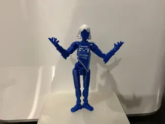 Roulx Kaard dummy 13