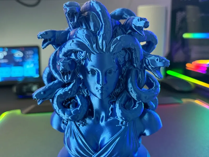 Medusa Bust