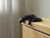 12cm LONG Version! 0.16mm layer, 2 walls, 15% infill