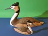 Great Crested Grebe – multicolor – 1:2 scale – A1 mini