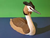 Great Crested Grebe – multicolor – life-sized – P1S