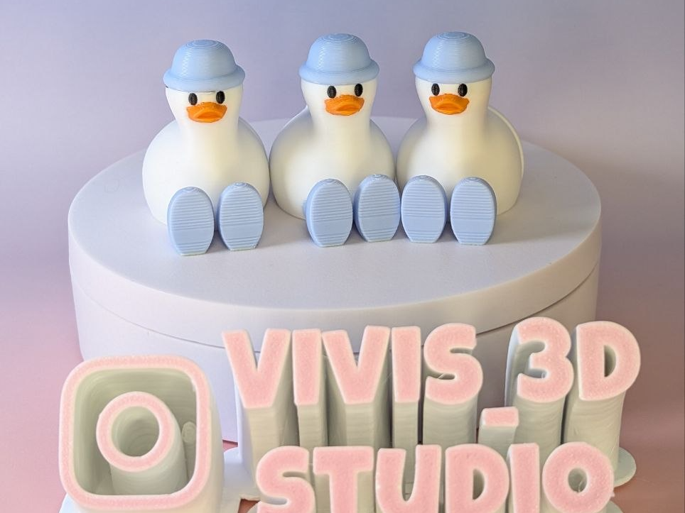 Cute Flexi Goose  (No Supports, Easy Print)