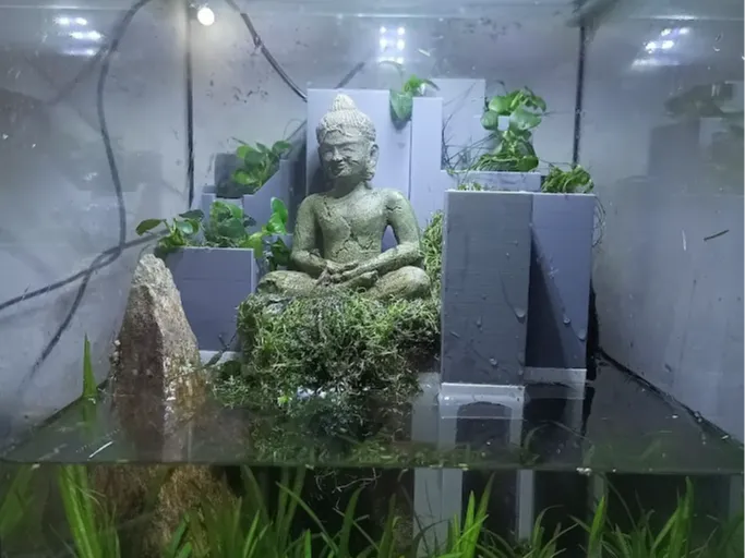 Waterfall paludarium