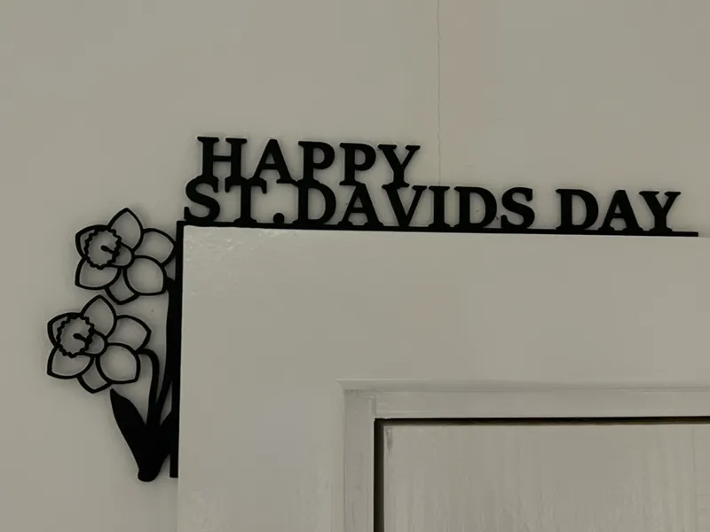 St David's Day Daffodil - Door Corner