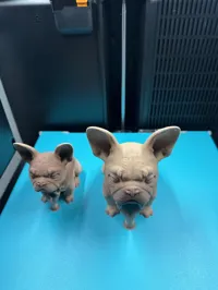 Figurine de bouledogue français — photo 3