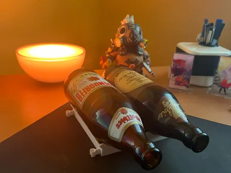 Modular Fridge Bottle Can Holder
