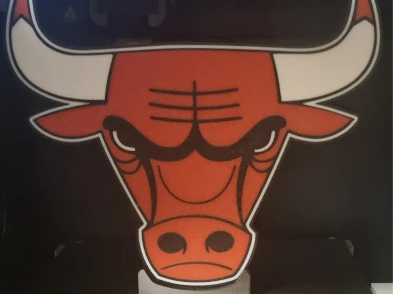 Chicago Bulls Lightbox
