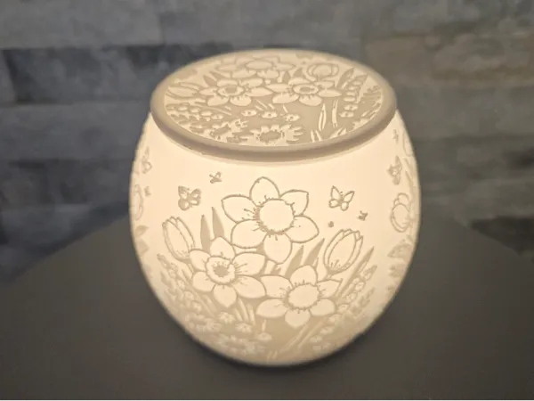 https://makerworld.bblmw.com/makerworld/model/USc9bd152b4b80ce/design/2025-12-29_1833a2905c2998.jpg