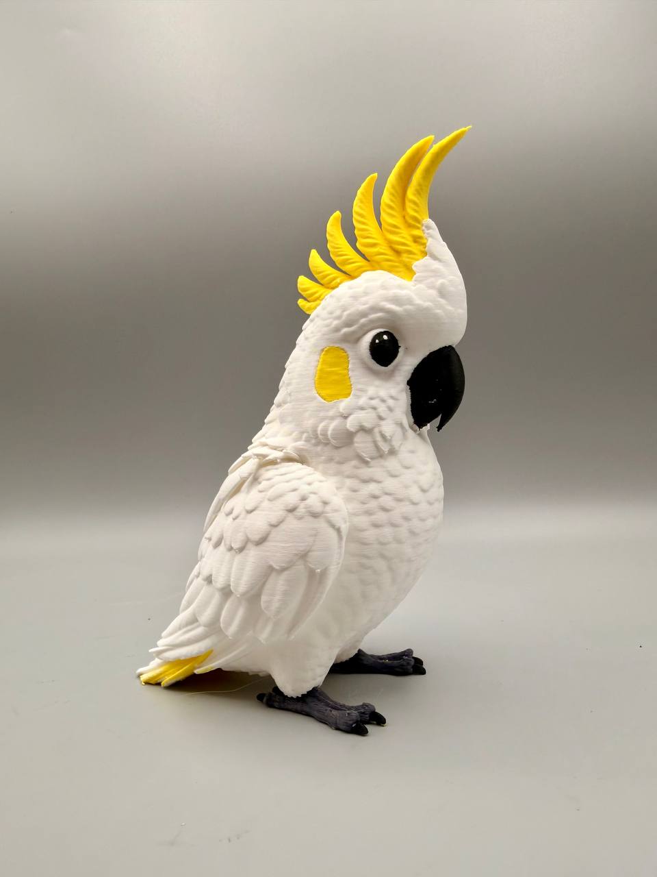Cockatoo - 1