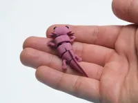 MultiColor Print Profile - axolotl