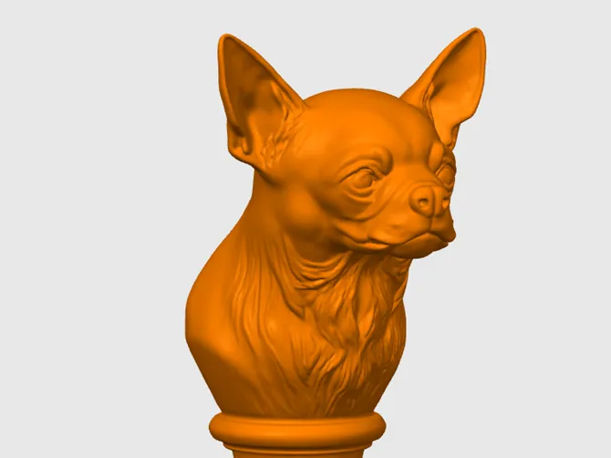 Chihuahua busto