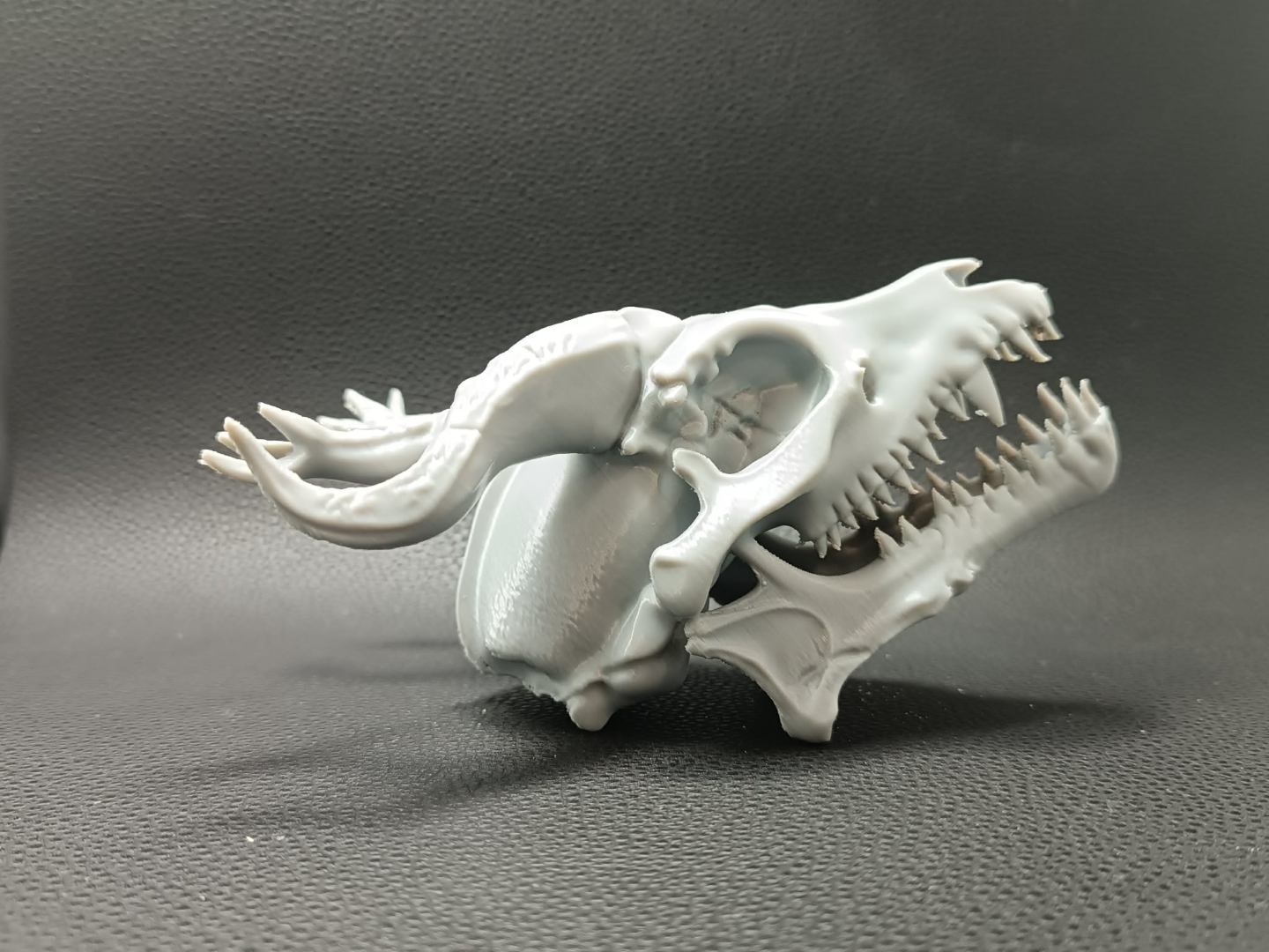 Realistic Dragon Skull