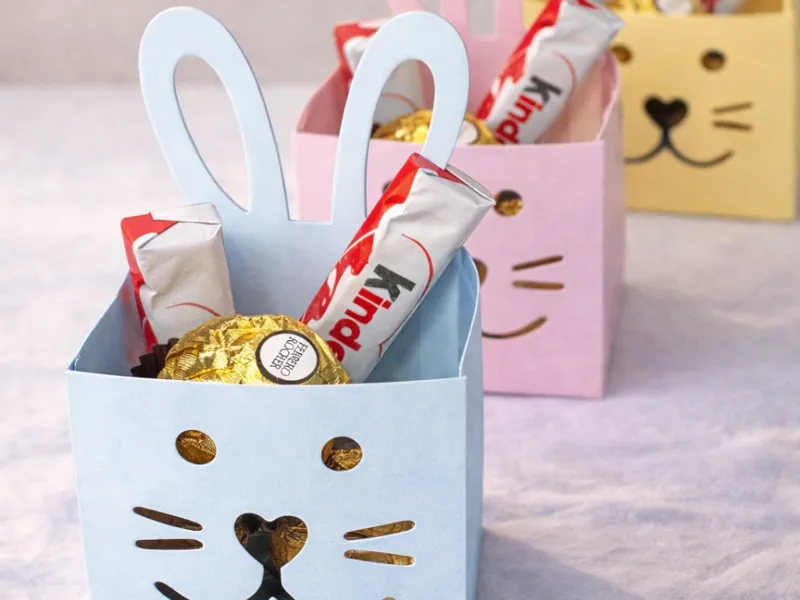Foldable Bunny Gift Box